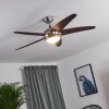 IMON ceiling fan Dark wood, matt nickel, 1-light source, Remote control