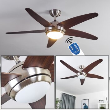 IMON ceiling fan Dark wood, matt nickel, 1-light source, Remote control