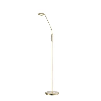 Honsel DENT Floor Lamp LED brass, 1-light source, Colour changer