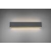 Wall Light Trio Leuchten CONCHA LED anthracite, 2-light sources