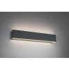 Wall Light Trio Leuchten CONCHA LED anthracite, 2-light sources