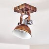 Gudo Ceiling Light brown, bronze, 1-light source