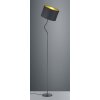 Trio HOSTEL Floor Lamp black, 1-light source