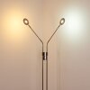 GULKANA Floor Lamp LED matt nickel, 2-light sources
