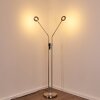 GULKANA Floor Lamp LED matt nickel, 2-light sources