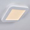 SIGUNA Ceiling Light LED white, 1-light source