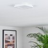SIGUNA Ceiling Light LED white, 1-light source