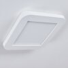 SIGUNA Ceiling Light LED white, 1-light source