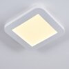 SIGUNA Ceiling Light LED white, 1-light source