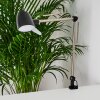 MILDURA Table lamp LED black, white, 1-light source