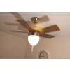 Globo MARVA fan stainless steel, grey, matt nickel, white, 1-light source