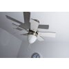 Globo MARVA fan stainless steel, grey, matt nickel, white, 1-light source