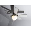 Globo MARVA fan stainless steel, grey, matt nickel, white, 1-light source