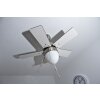 Globo MARVA fan stainless steel, grey, matt nickel, white, 1-light source