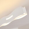 NAGOLD Ceiling Light LED white, 1-light source