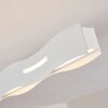 NAGOLD Ceiling Light LED white, 1-light source
