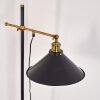 Gudem Floor Lamp black-gold, 1-light source