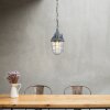 Steinhauer MEXLITE Pendant Light grey, 1-light source