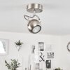 GADMEN Ceiling Light chrome, matt nickel, 1-light source