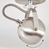 GADMEN Ceiling Light chrome, matt nickel, 1-light source