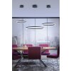 Paul Neuhaus TITUS Pendant Light LED anthracite, 1-light source