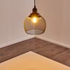 MOHOLM Pendant Light black, 1-light source