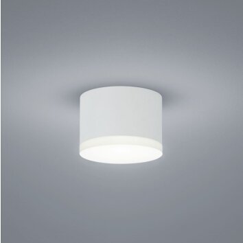 Helestra PALA ceiling light LED white, 1-light source