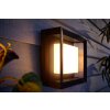 Philips HUE AMBIANCE WHITE & COLOR ECONIC Wall Light LED black, 1-light source, Colour changer
