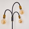 Floor Lamp Hovslund black-gold, 3-light sources