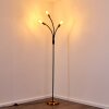 Floor Lamp Hovslund black-gold, 3-light sources