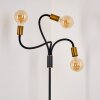Floor Lamp Hovslund black-gold, 3-light sources