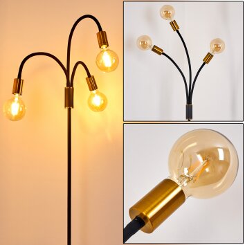 Floor Lamp Hovslund black-gold, 3-light sources