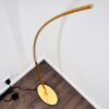 NAGU Floor Lamp LED gold, 1-light source