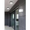 Reality KENDAL Outdoor Ceiling Light LED anthracite, 1-light source