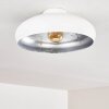 GUAYO Ceiling light aluminium, 1-light source