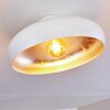 GUAYO Ceiling light aluminium, 1-light source