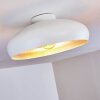 GUAYO Ceiling light aluminium, 1-light source