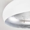 GUAYO Ceiling light aluminium, 1-light source