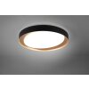 Reality ZETA Ceiling Light LED black, 1-light source, Remote control