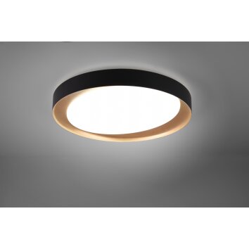 Reality ZETA Ceiling Light LED black, 1-light source, Remote control