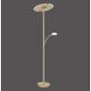 Paul Neuhaus ARTUR Floor Lamp LED brass, 1-light source