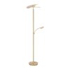 Paul Neuhaus ARTUR Floor Lamp LED brass, 1-light source