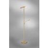 Paul Neuhaus ARTUR Floor Lamp LED brass, 1-light source