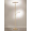 Paul Neuhaus ARTUR Floor Lamp LED brass, 1-light source