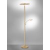 Paul Neuhaus ARTUR Floor Lamp LED brass, 1-light source
