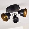 Ceiling Light Safari black, 3-light sources