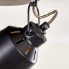 Ceiling Light Safari black, 3-light sources