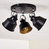 Ceiling Light Safari black, 3-light sources
