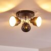 Ceiling Light Safari black, 3-light sources