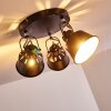 Ceiling Light Safari black, 3-light sources